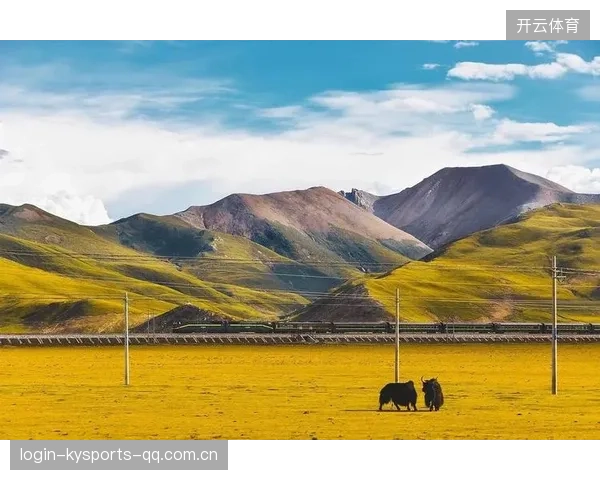 无忧无虑的生活：如何在“没有任何威胁”的世界中找到真正的自由